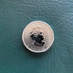 2011 .999 Silver Maple Coin in Perfect Condition